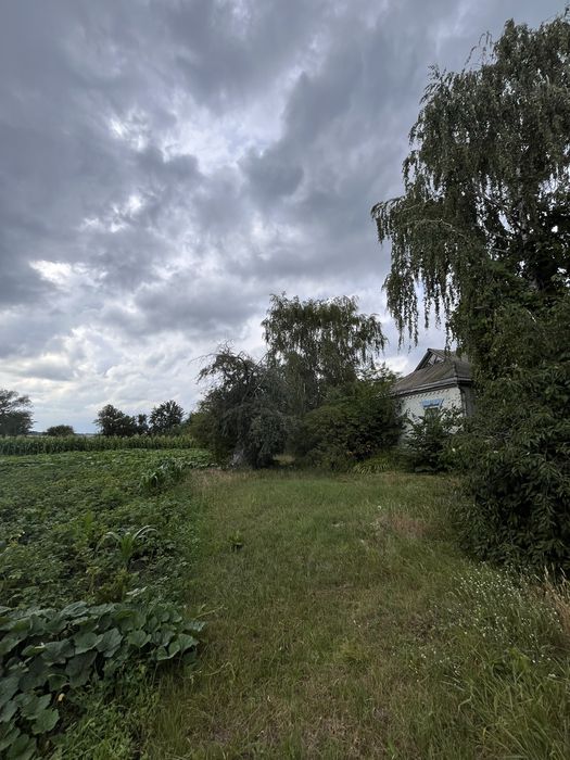 ТЕРМІНОВО Продам будинок та землю в с. Лехнівка