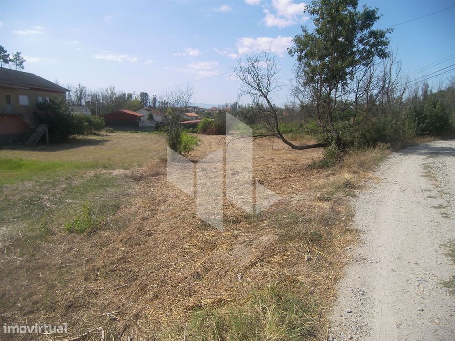 Terreno Urbano Santa Comba Dão