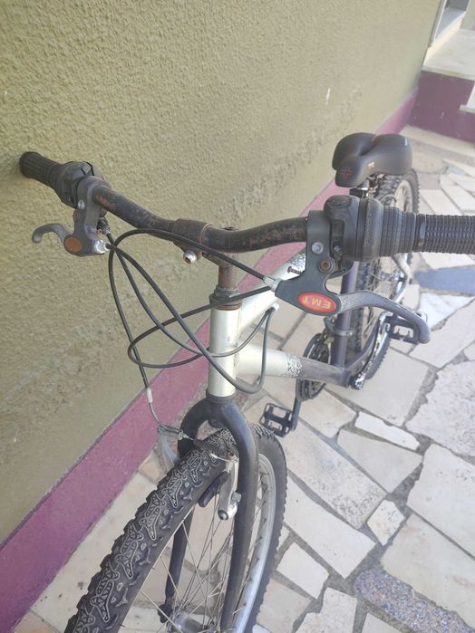 Bicicleta adulto