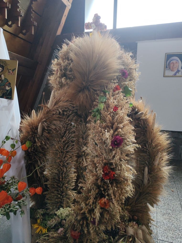 Wieniec dożynkowy