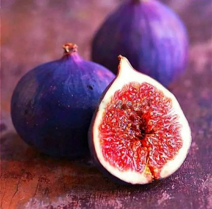 Саженци инжир Киевский