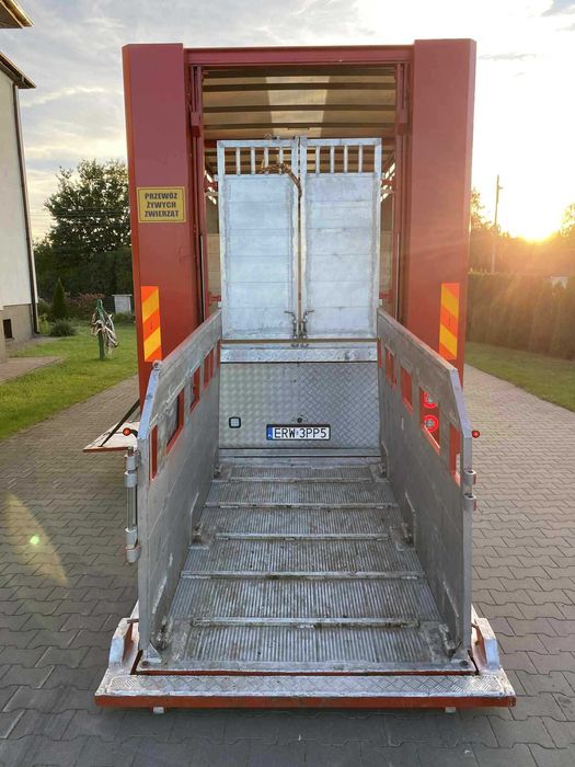 Scania p230 do przewozu zwierząt bydła żywca zabudowa waga