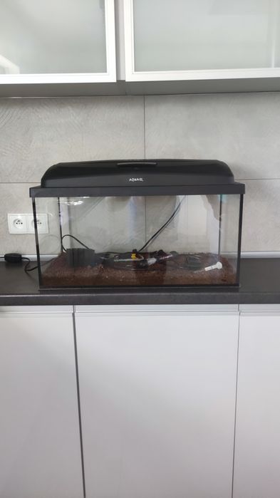 Akwarium 60l+wyposażenie