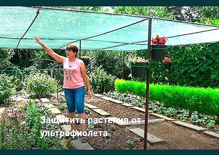Сетка Затеняющая Сітка Затіняюча 95% 45% 85% 70% 90% 60% 80% Тінь Тень