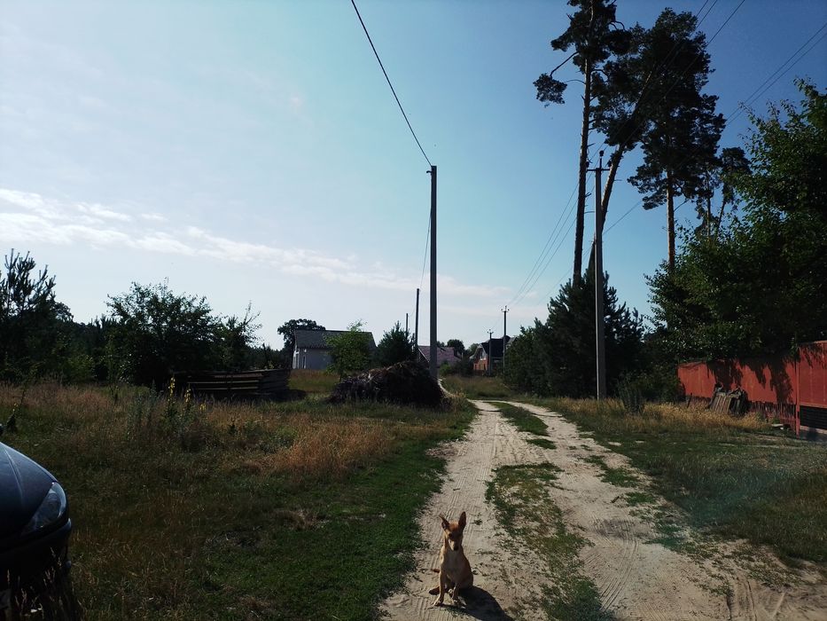 Земельна ділянка  неподалік лісу с.Геронимівка