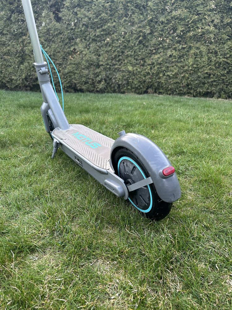 Hulajnoga Motus Scooty 10 2022