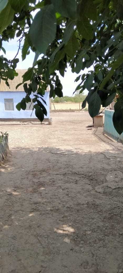 Продаю будинок,Миколаївська обл, Баштанський район,с.Винограде
