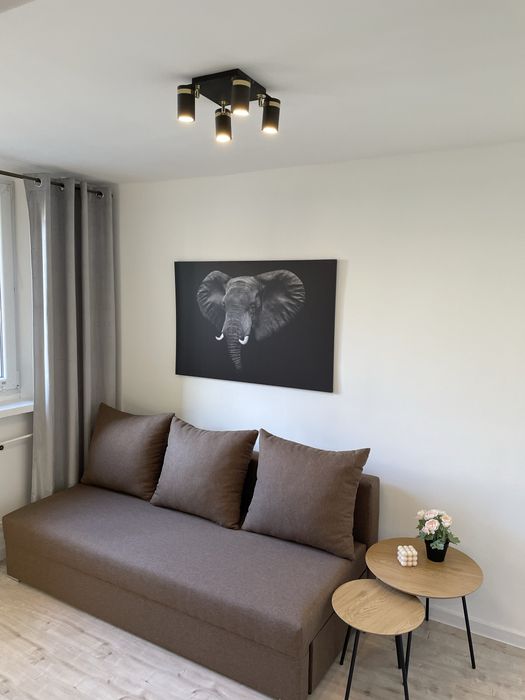 Komfortowe mieszkanie po remoncie. Bezposrednio.