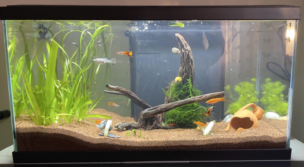 BioBox aquario...