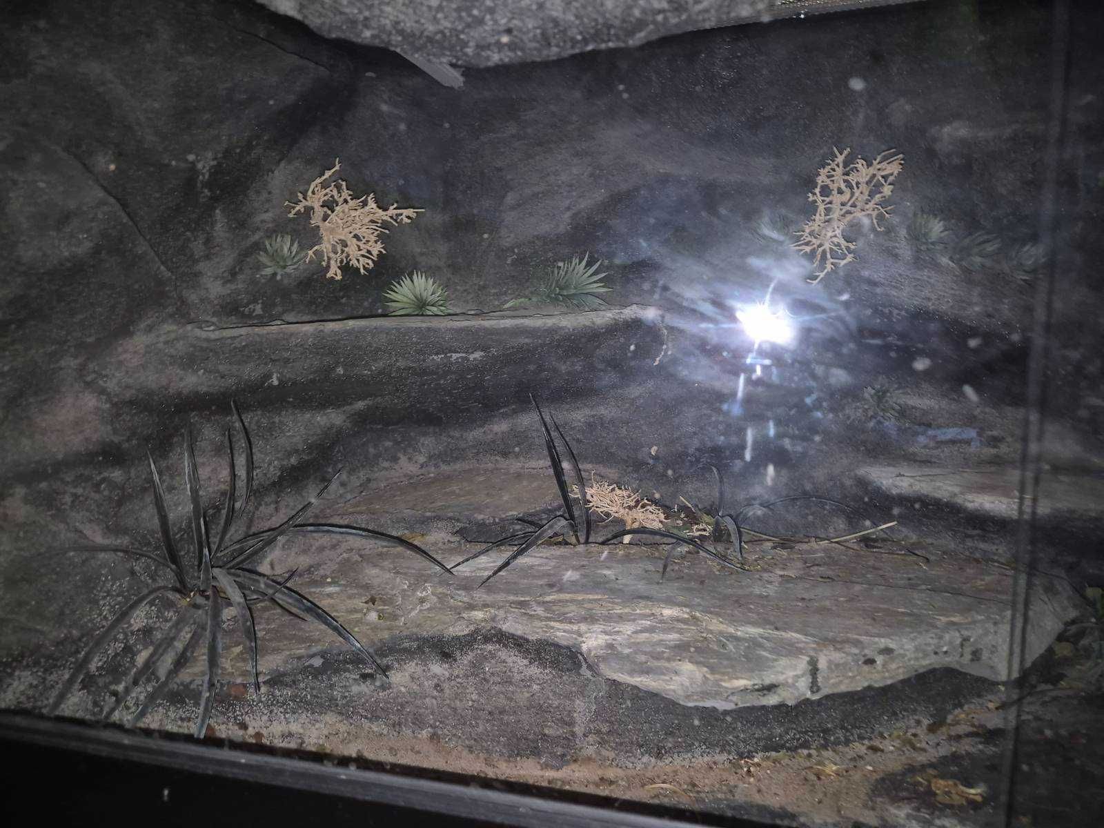 Sprzedam Terarium