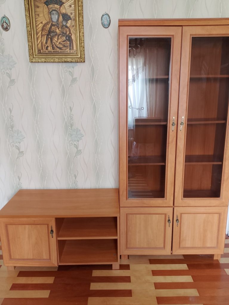 Sprzedam witrynę i stolik RTV