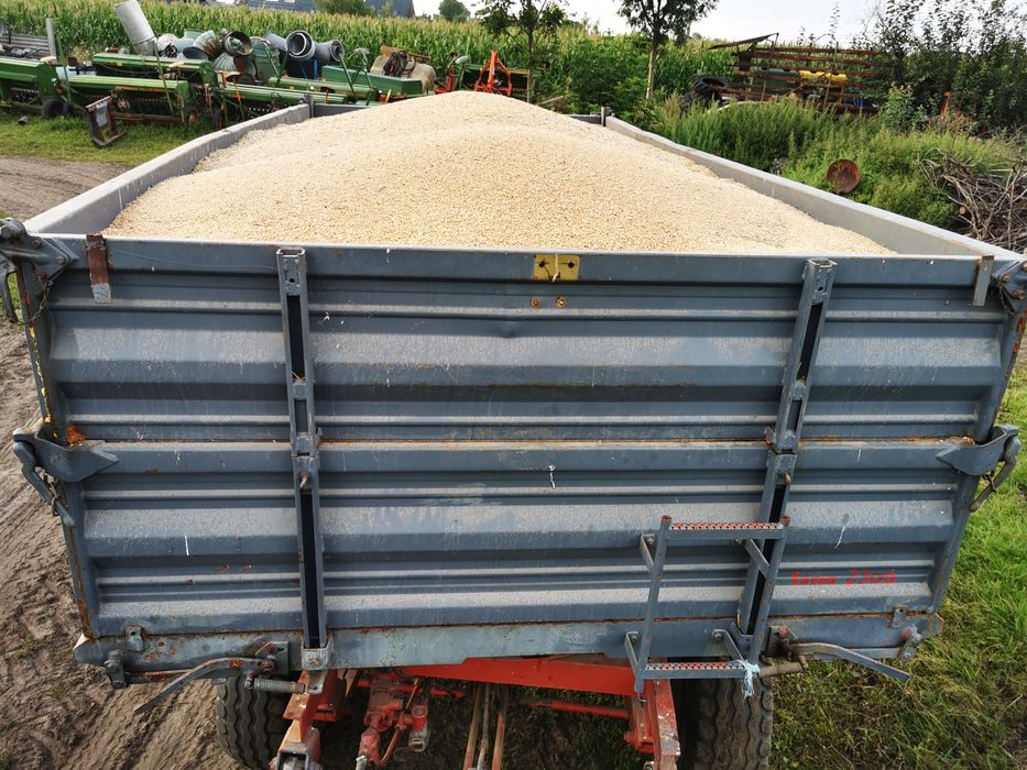 Przyczepa rolnicza Bergmann 8t 3 strony wywrotka zarejestrowana