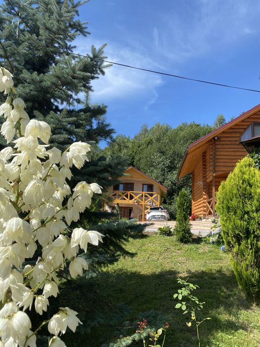 Оренда котеджів/будиночків. Чани/Сауна/Більярд/Настільний теніс