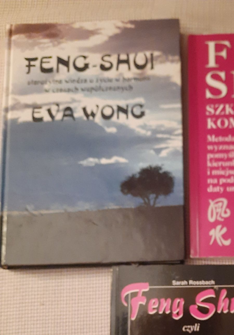 Feng Shui Eva Wong,unikalna