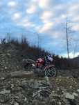 Mussstang Regio 150