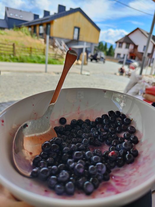 Котедж в Карпатах (Яблуниця)