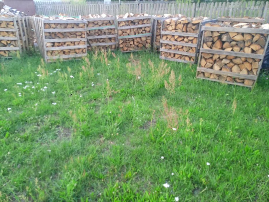 Drewno opałowe buk, dąb, brzoza kominkowe