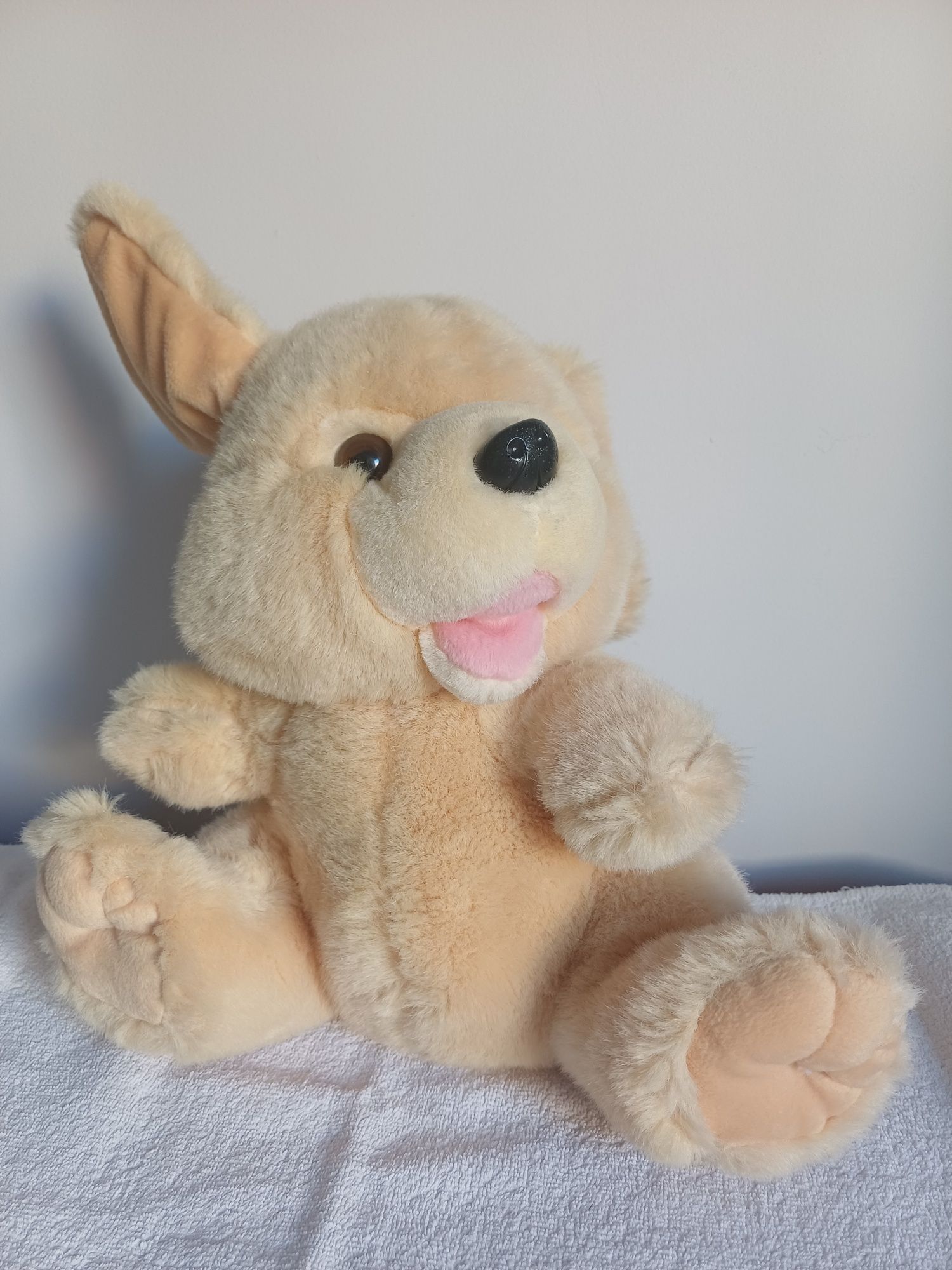 Coelho de peluche