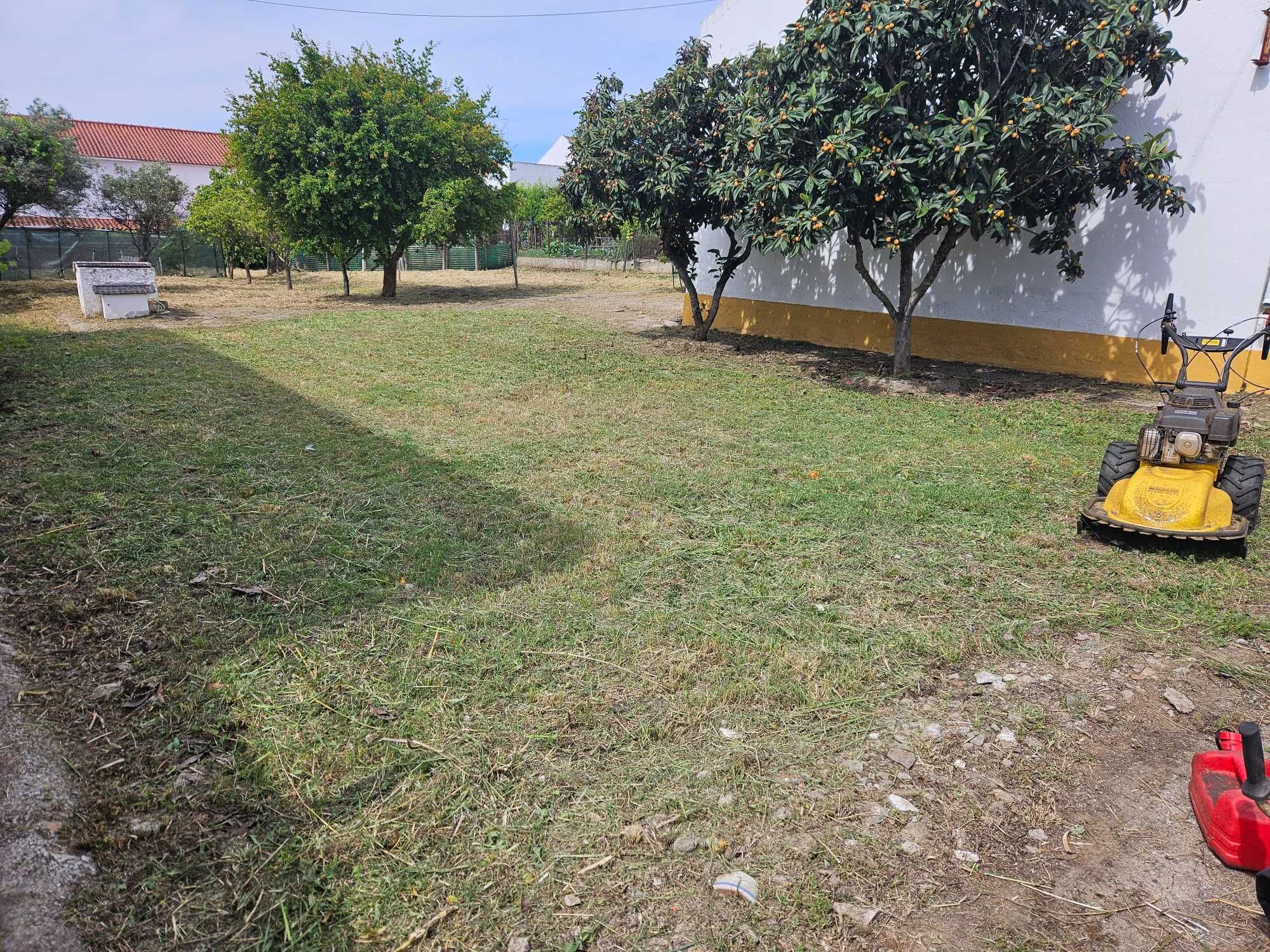 Corta Mato RL1400 HONDA GXV390