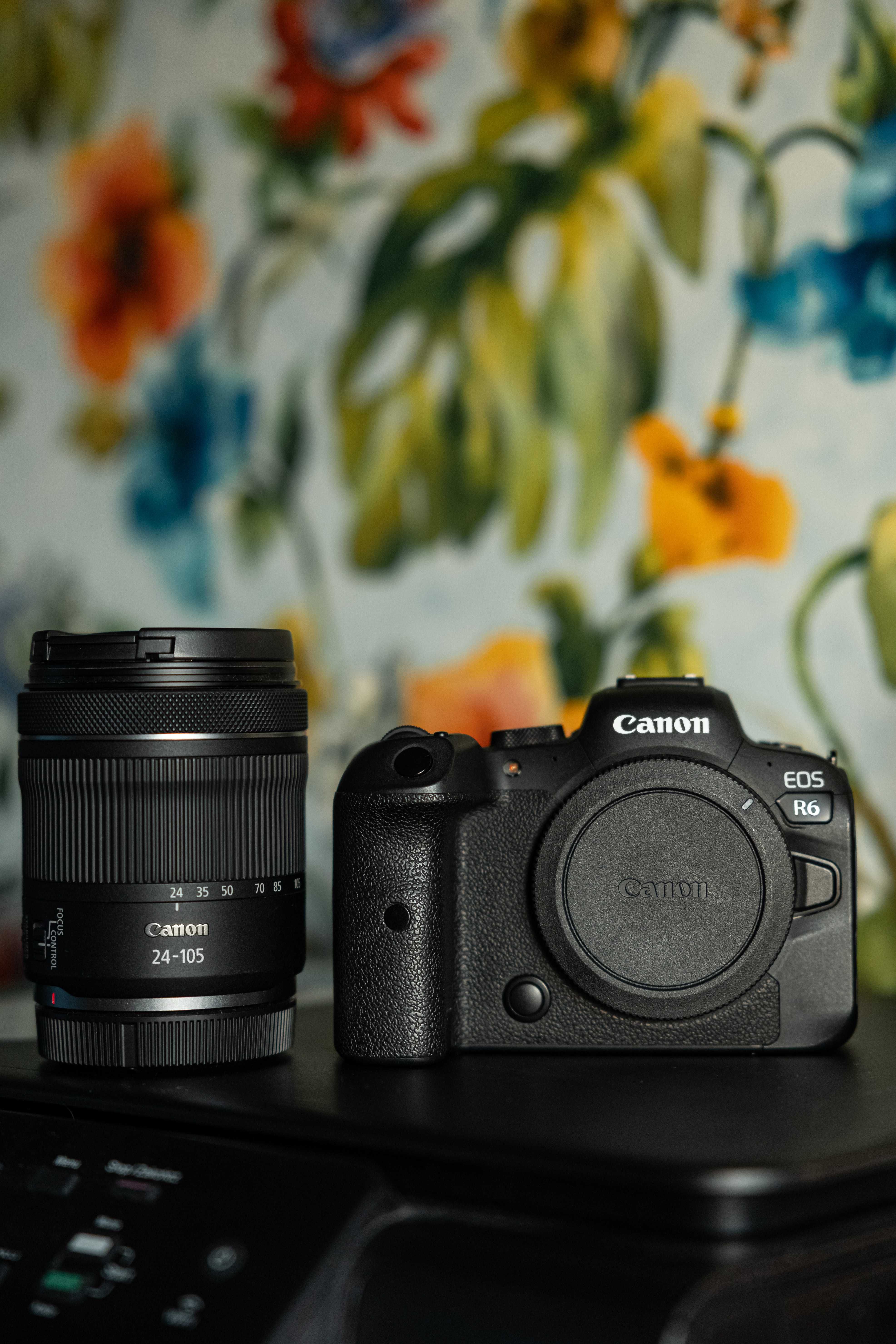 Canon EOS R6 + Obiektyw RF 24-105mm f/4-7.1 IS STM