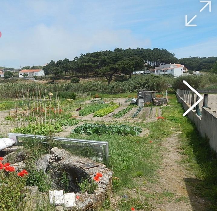 Terreno Azenhas do Mar