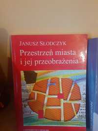 Przestrzen miasta i jej przeobrazenia