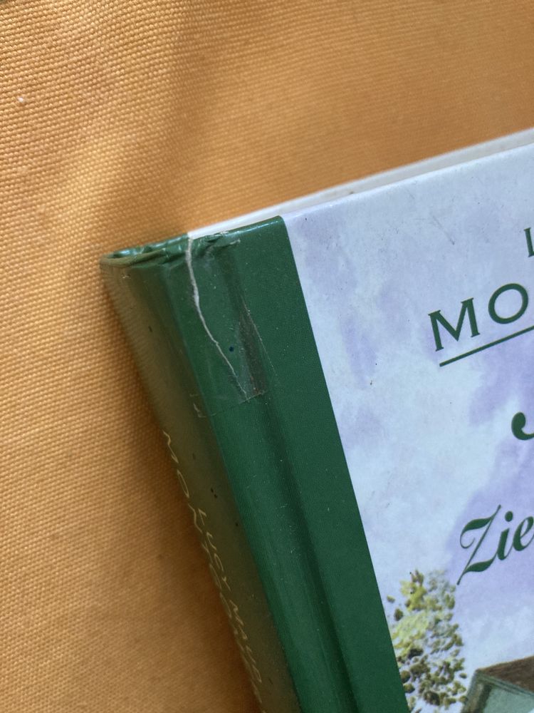 Ania z Zielonego Wzgórza Lucy Maud Montgomery