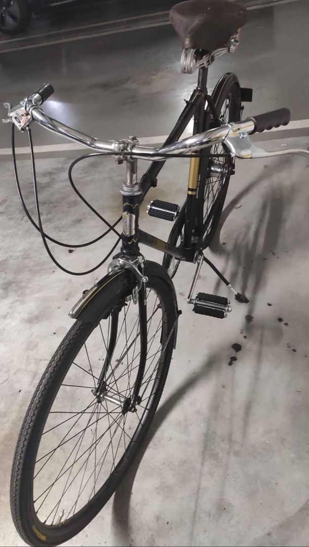 Bicicleta Pasteleira