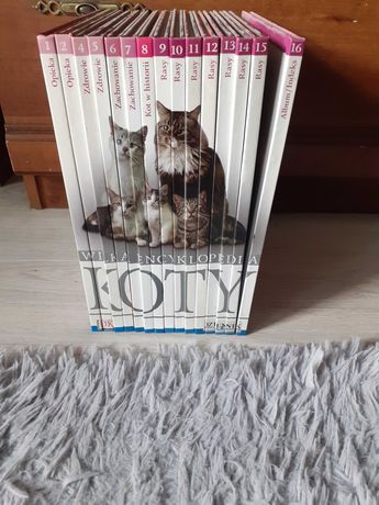 Wielka encyklopedia Koty zestaw