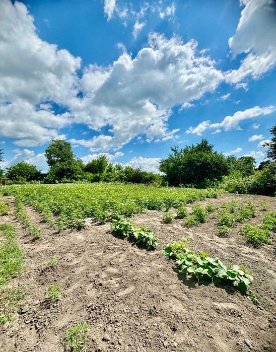 Хата недалеко від ЦЕНТРУ смт Березна! Сертифікат! A11
