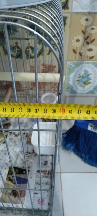 Gaiola papagaio com comedores