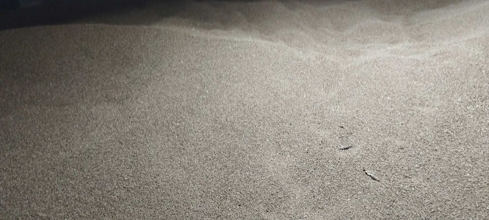 pszenice, jęczmień sprzedam