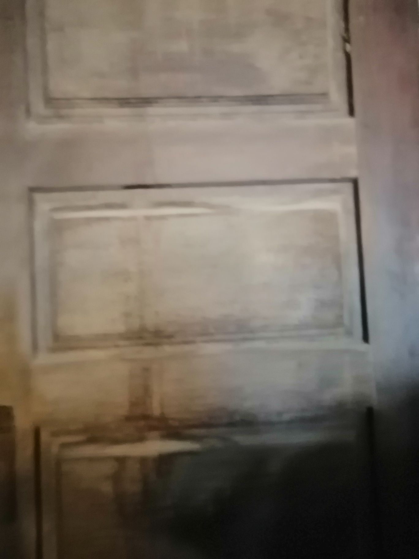 Portas uma em branco outra mogno maciça.
