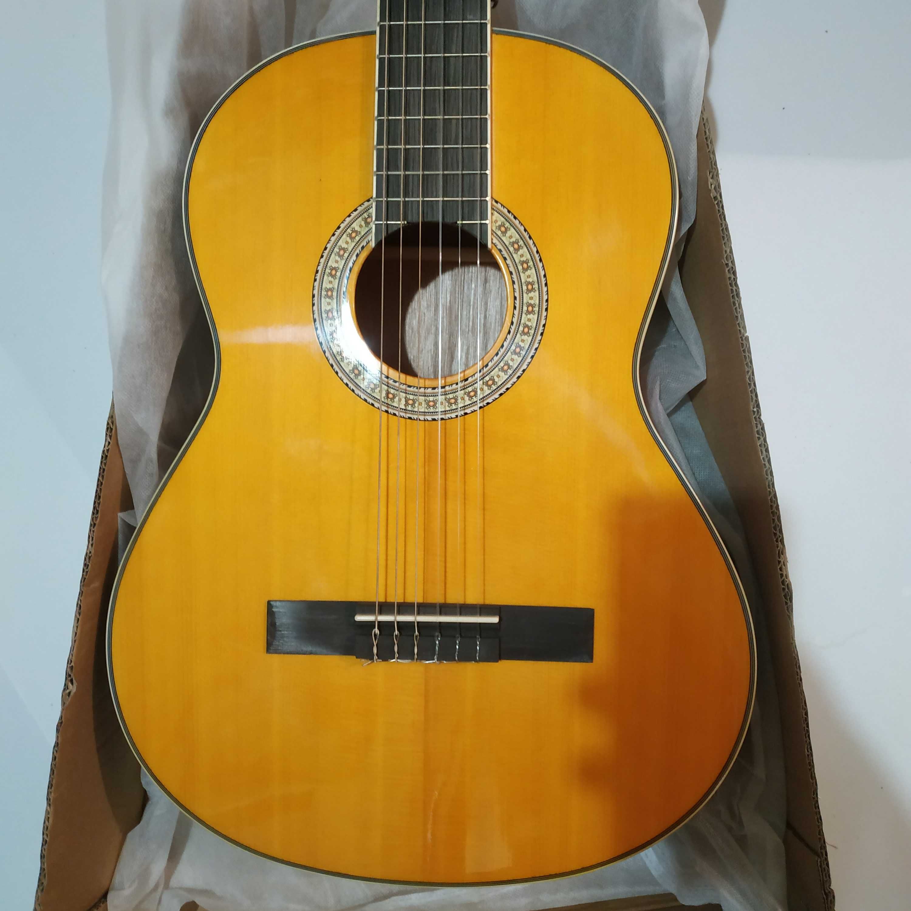 Класичні гітари Ostin.Розпродаж.
