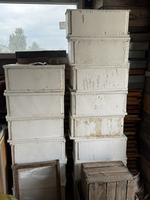 Pasieka 80 rodzin, dzialajaca strona www, fb, tik-tok