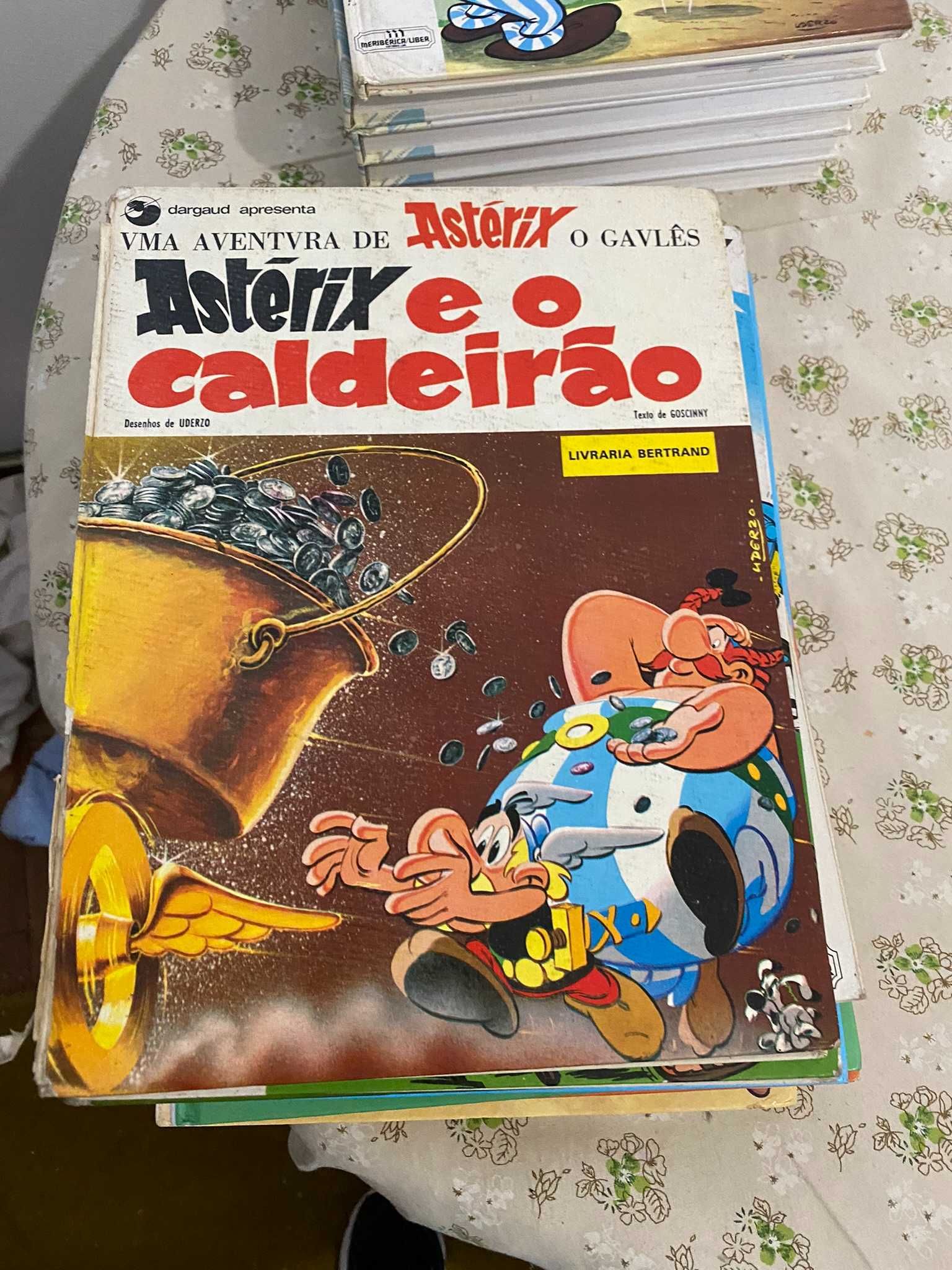 livro asterix e o caldeirao