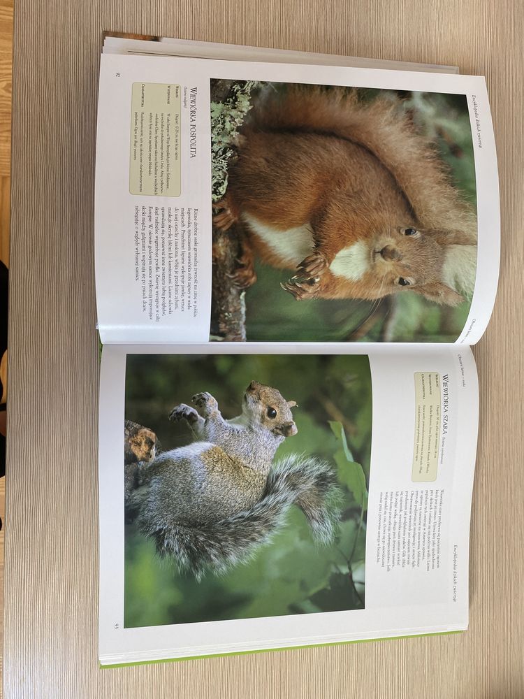 Encyklopedia Dzikich zwierząt edukacja książka dla dzieci i młodzieży