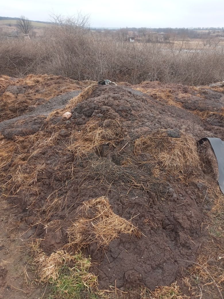 Перегной навоз коровяк в мешках или прицепом такж можливо вантожівкою