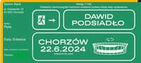 2 Bilety Płyta EE Dawid Podsiadło sobota 22.06.2024 Chorzów 299 szt.
