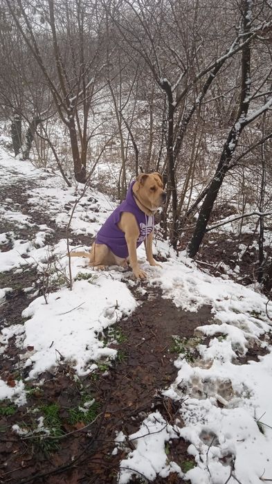 Ка Де Бо Кабель для вязки.