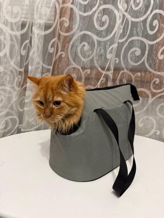 Переноска для котів та собак маленьких пород
