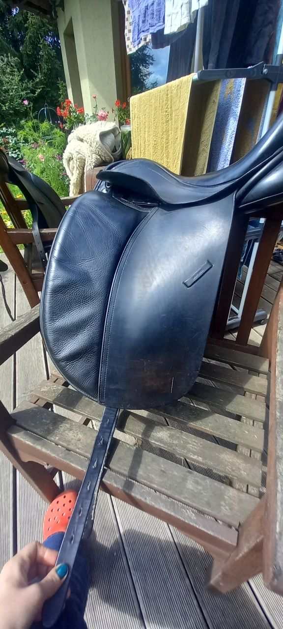 Daw Mag Sylwester 17', M