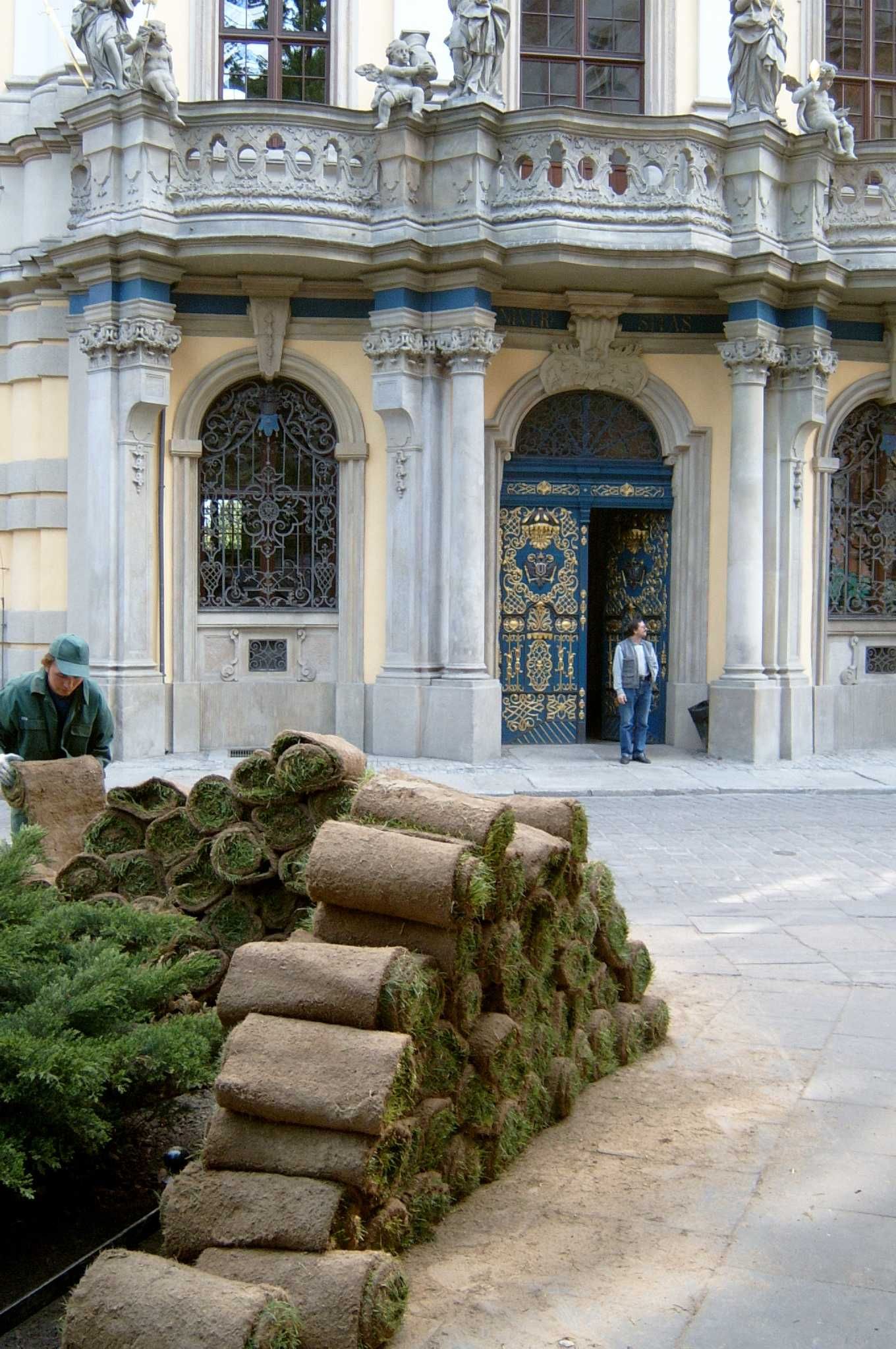 Trawa z rolki wysoka jakość dostawa pod dom chłodzona CHŁODZONA 6°C