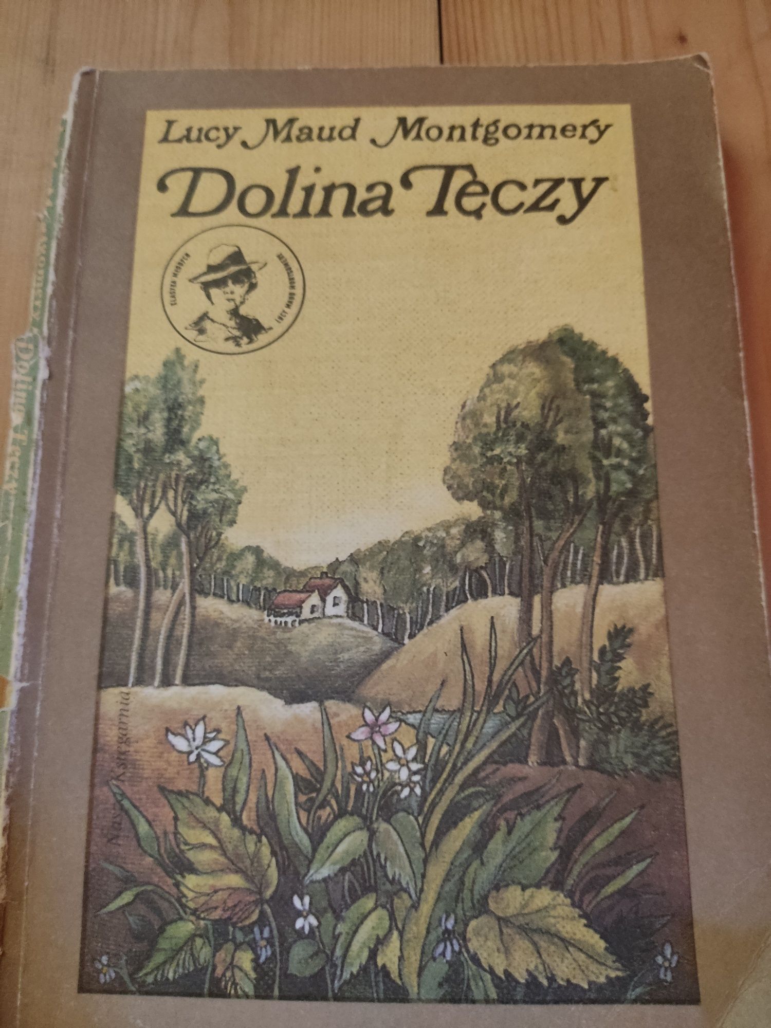 Dolina Tęczy - Lucy Maud Montgomery