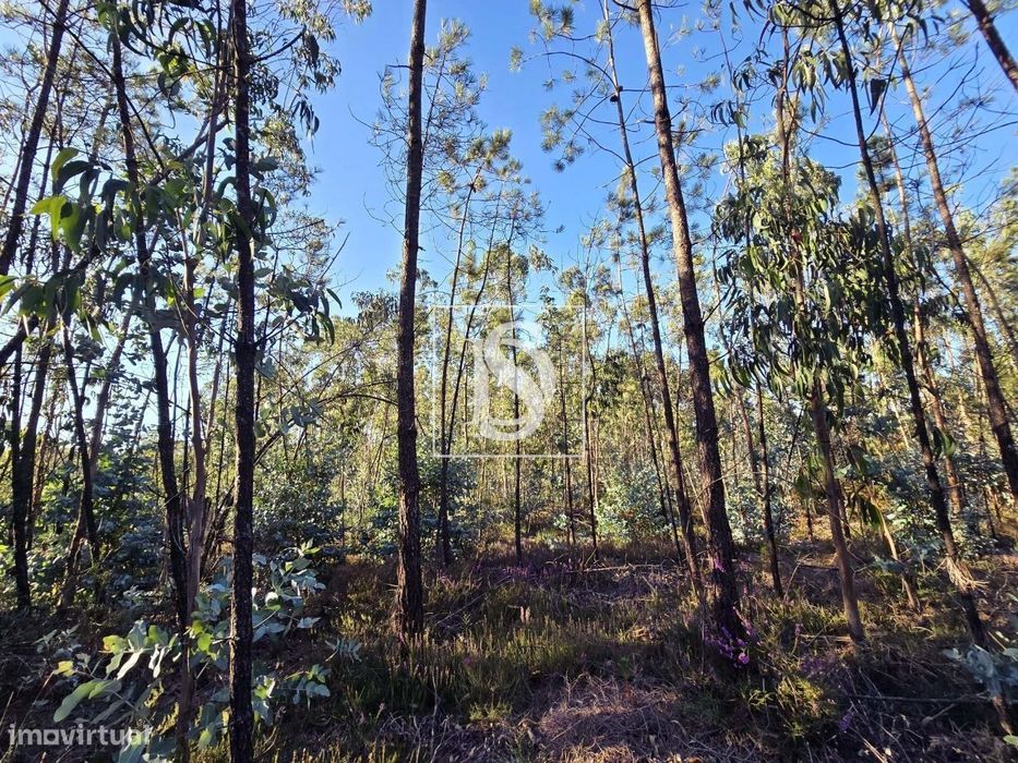 Terreno rústico – Laúndos – Póvoa de Varzim