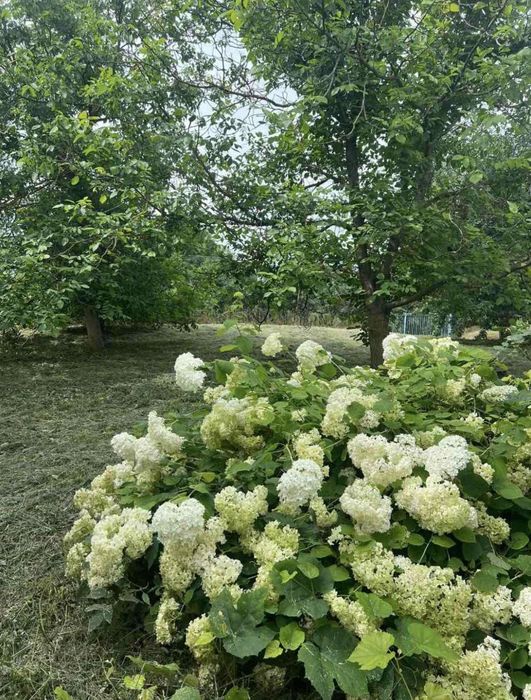 Продам будинок неподалік міста