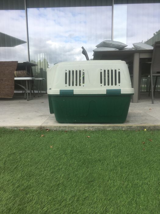 Transportadora animais