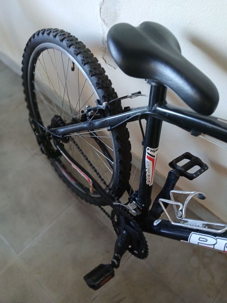 Bicicleta de montanha