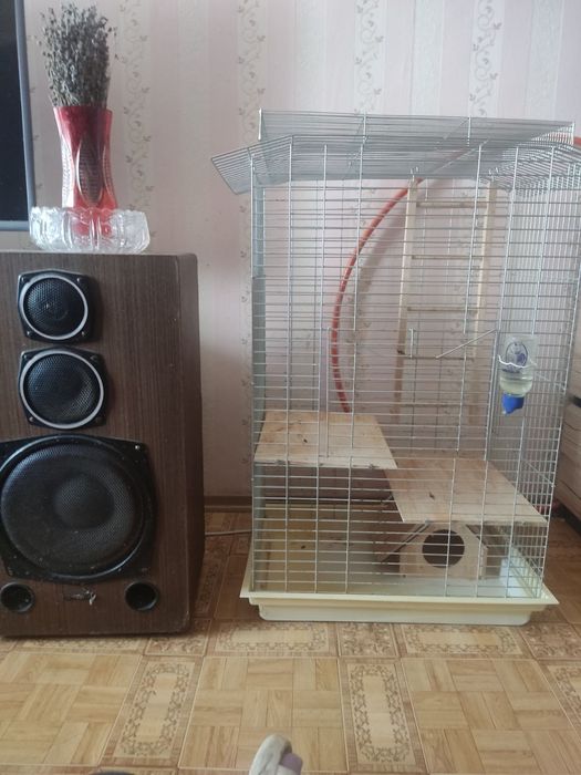 Продам клетку для шиншилли
