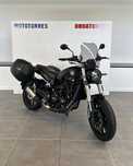 Benelli Leoncino Leoncino 500